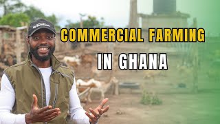 I VISITED ONE OF THE BIGGEST LIVESTOCK INTEGRATED FARMS IN GHANA [upl. by Esyahc145]