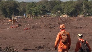 Death Toll from Brazilian Dam Collapse Hits 142 [upl. by Philender]