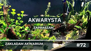 Restart zakładam akwarium w stylu naturalnym [upl. by Cruz]