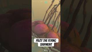 How to Pilot the Flying Shipment 🤪 glitch gaming funny warzone rebirthisland cod callofduty [upl. by Jakob]