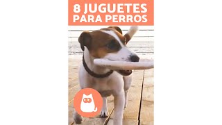 ¡Descubre los mejores JUGUETES para PERROS 🐶🥏 Shorts [upl. by Elsworth]