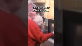 The lady that put her poodle in the microwave… they made a movie on it I guess creepy horror [upl. by Nickolas347]