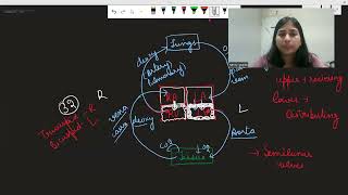 Transportation in plants  life process lecture 2  cbse  ncert  class 10th science xylem phloem [upl. by Lekim]