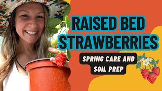 Spring Care and Soil Prep for Raised Bed Strawberries  Maximize Growth for Bountiful Harvest 🍓🌱 [upl. by Waddell]