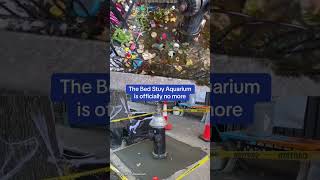 The bed stuy Aquarium is officially no morenews [upl. by Vitia]