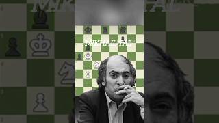 MIKHAIL TAL BRILLIANCY [upl. by Idieh]