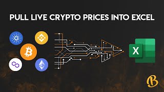 Pull Live Crypto Prices Into Excel EASY [upl. by Jordan62]