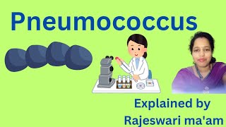 Pneumococcus [upl. by Direj235]