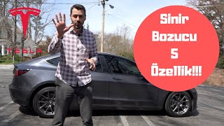 Tesla Model 3 Sinir Bozucu 5 Özellik I 6 Aylık Kullanım Sonuçları [upl. by Littell858]