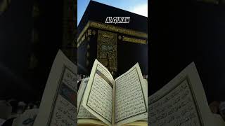 Aameen 1mviews quranismylife quranicvibes motivation exploreislam [upl. by Bluefield]