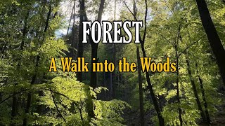 FILIPINAGERMAN COUPLE FOREST WALK  WALKING IN THE WOODS  CALMING FOEST SOUNDS  EPIFANNY VLOG [upl. by Enehs]