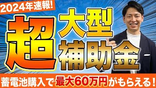 【蓄電池速報！】２０２４年最新の補助金情報！知っていたら必ず得する情報をお伝えします！【蓄電池】 [upl. by Atinar]