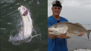 Fishing Downtown St Augustine For Redfish And Tarpon [upl. by Tnias]