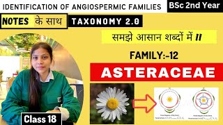 Asteraceae Family 🌻 Floral diagram and formulas  Taxonomy  Economic importance [upl. by Sotsirhc]