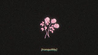 tranquillity  lofi hip hop beat FREE FOR PROFIT USE [upl. by Beichner]