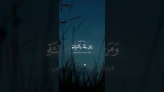 آيات من القرآن الكريم 💞 سورة النمل 💞 الآية 89 [upl. by Lonyer454]