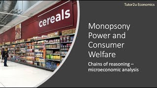 Monopsony Power and Consumer Welfare I A Level and IB Economics [upl. by Tarkany576]