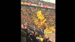 BAYER LEVERKUSEN  BORUSSIA DORTMUND 01 210216 SUPPORT DER DORTMUND FANS  ULTRAS HD [upl. by Ailyn716]