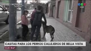 Casitas para los perros callejeros de Bella Vista [upl. by Gnni]