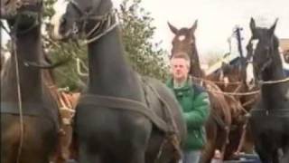 Paardenreddingboot Ameland  clip [upl. by Ahseital523]