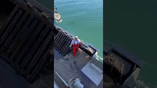 Crab Fisherman explaining Crab Catching Near Ketchikan Alaska [upl. by Pillihpnhoj264]