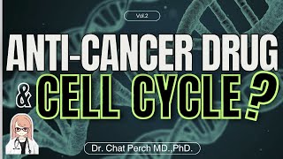 【The Key Point explained】Cell CycleSpecific Anticancer Drugs【AntiCancer Drug Pharmacology】 [upl. by Judas]