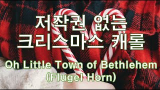 저작권없는 크리스마스 캐롤  Oh Little Town of BethlehemFlugel Horn [upl. by Eiliah]