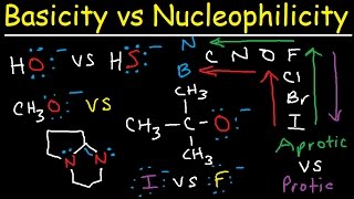 Basicity vs Nucleophilicity  Steric Hindrance [upl. by Nynnahs]