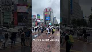 World’s Busiest Crossing TokyoJapan Thanks Aadesh travel crossingsubscribe [upl. by Nirag71]