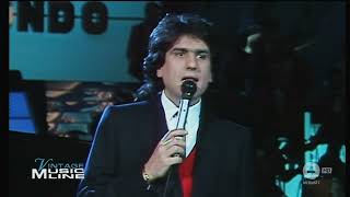 Toto Cutugno  Serenata 3  1984 [upl. by Taryne]