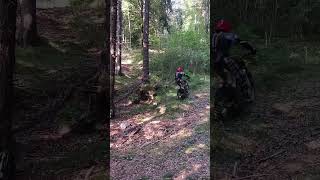 POWER and TECHNIQUE Training  Trial Montesa 301 honda trials extreme jump wheelie [upl. by Ateikan235]