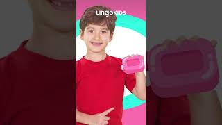 Everybody LEARN TO WASH YOUR HANDS 🙌🫧 and make some BUBBLES with Lingokids songsforkids [upl. by Zipnick]