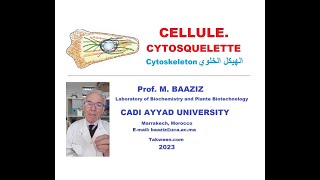 Cytosquelette cytoskeleton هيكل خلوي filaments transport des virus  lien avec cancers [upl. by Yral]