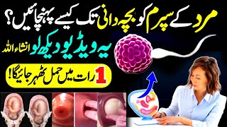 How To Get Pregnant Fast in Hindi  How To Send Sperm inside For Pregnancy How To Pregnant a Woman [upl. by Kittie]