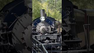 Unusual and Rare Steam Locomotive shorts trains [upl. by Analaj289]