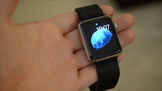 Review  Apples Space Black Milanese Loop for Apple Watch [upl. by Finegan]