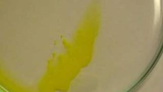 Elementary Productions Potassium Iodide and Lead Nitrate [upl. by Llewop]