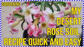 Easy Desert Rose Soil Recipe [upl. by Ricoriki]