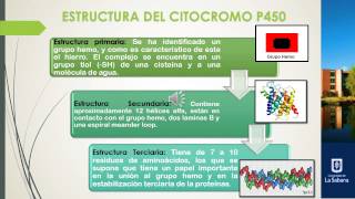 Biotransformación de fármacos por el citocromo P450 [upl. by Truman]