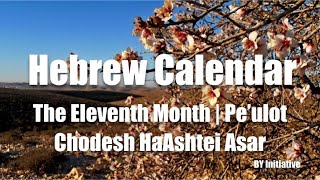 Hebrew Calendar  The Eleventh Month  Peulot  Chodesh HaAshtei Asar [upl. by Ackler]