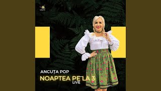 Noaptea pe la 3 Live [upl. by Ardnua615]