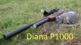 Diana P1000 First Blood [upl. by Cotsen586]