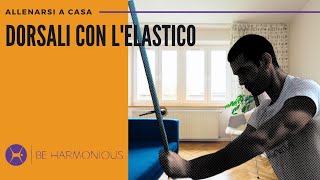 3 esercizi per i DORSALI con l’ELASTICO  Allenamento a casa  2 Livello semplice [upl. by Tat248]