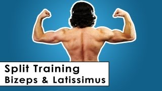 Bizeps amp Latissimus Split Trainingsplan für zu Hause  Kurzhantel Workout [upl. by Lesslie795]