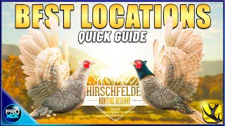 Where to find Pheasants on Hirschfelden 2023 Hotspot Map Included  theHunter Call of the Wild [upl. by Alden]