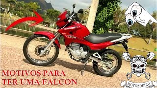 MOTIVOS PARA TER UMA FALCON [upl. by Bernette]