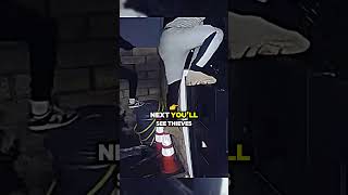 Best Doorbell Camera Moments Caught on Ring Doorbell [upl. by Dafna]