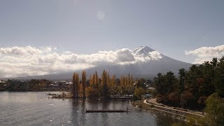 4K・ 【4K】Mt Fuji  Walking from Kawaguchiko station to the lake [upl. by Dinnie476]