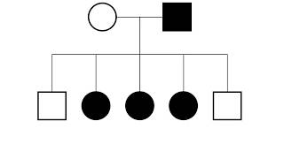 XLinked Pedigrees MADE EASY [upl. by Ahsennod]