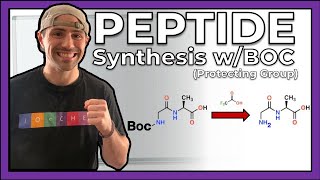 Peptide Synthesis with the Boc Protecting Group [upl. by Rhodie]